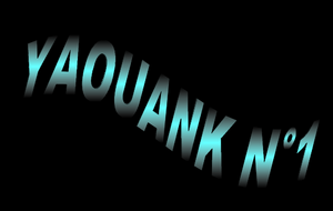 YAOUANK 1 DU 30 JANVIER 2022 à VANNES